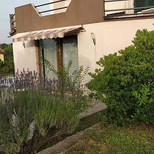  Appartement Lavinia